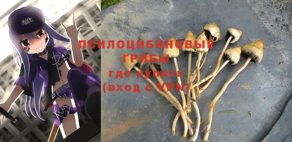 каннабис Белокуриха